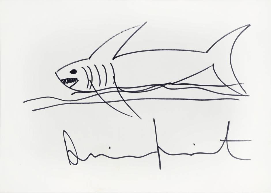 Shark, 2000