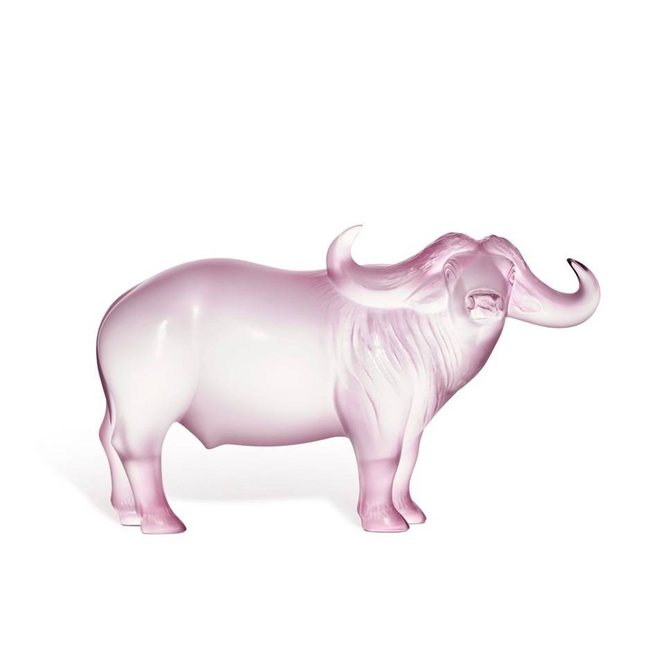 Water buffalo