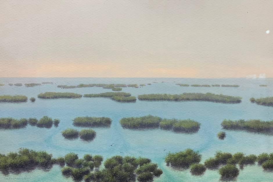 Cayos de mangle, 1984