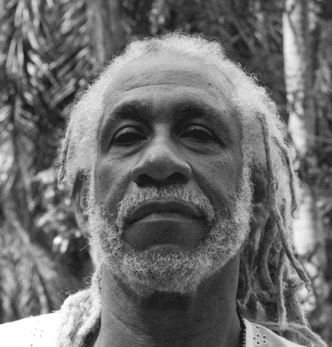Manuel Mendive