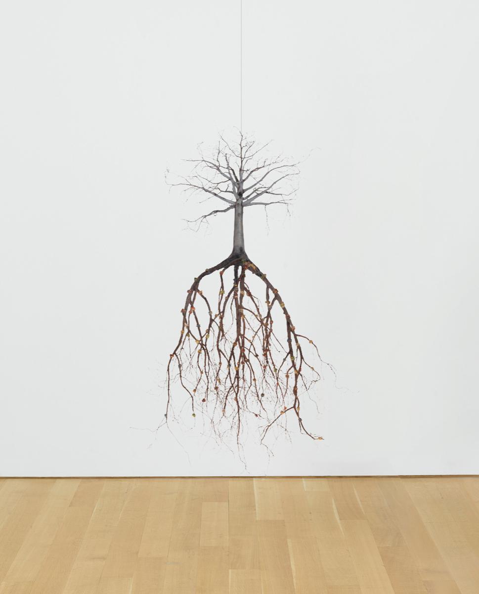 De mis vivos y mis muertos, 2008, image 3