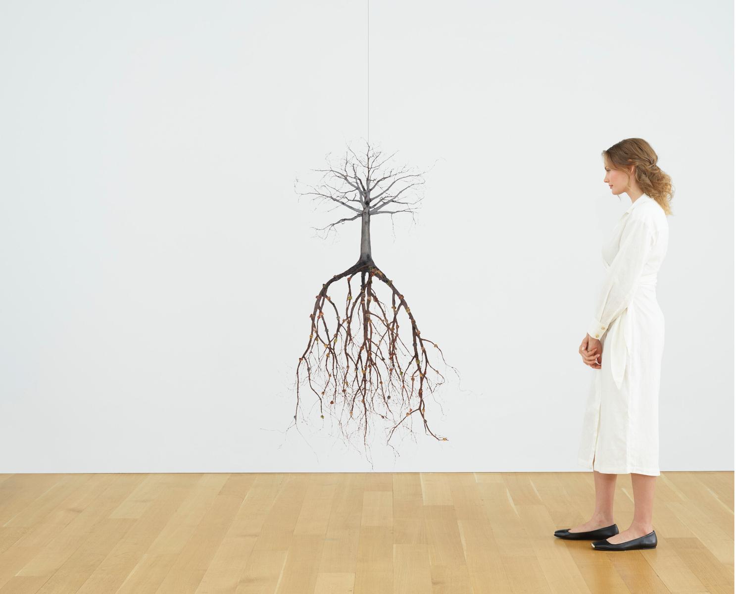 De mis vivos y mis muertos, 2008, image 2