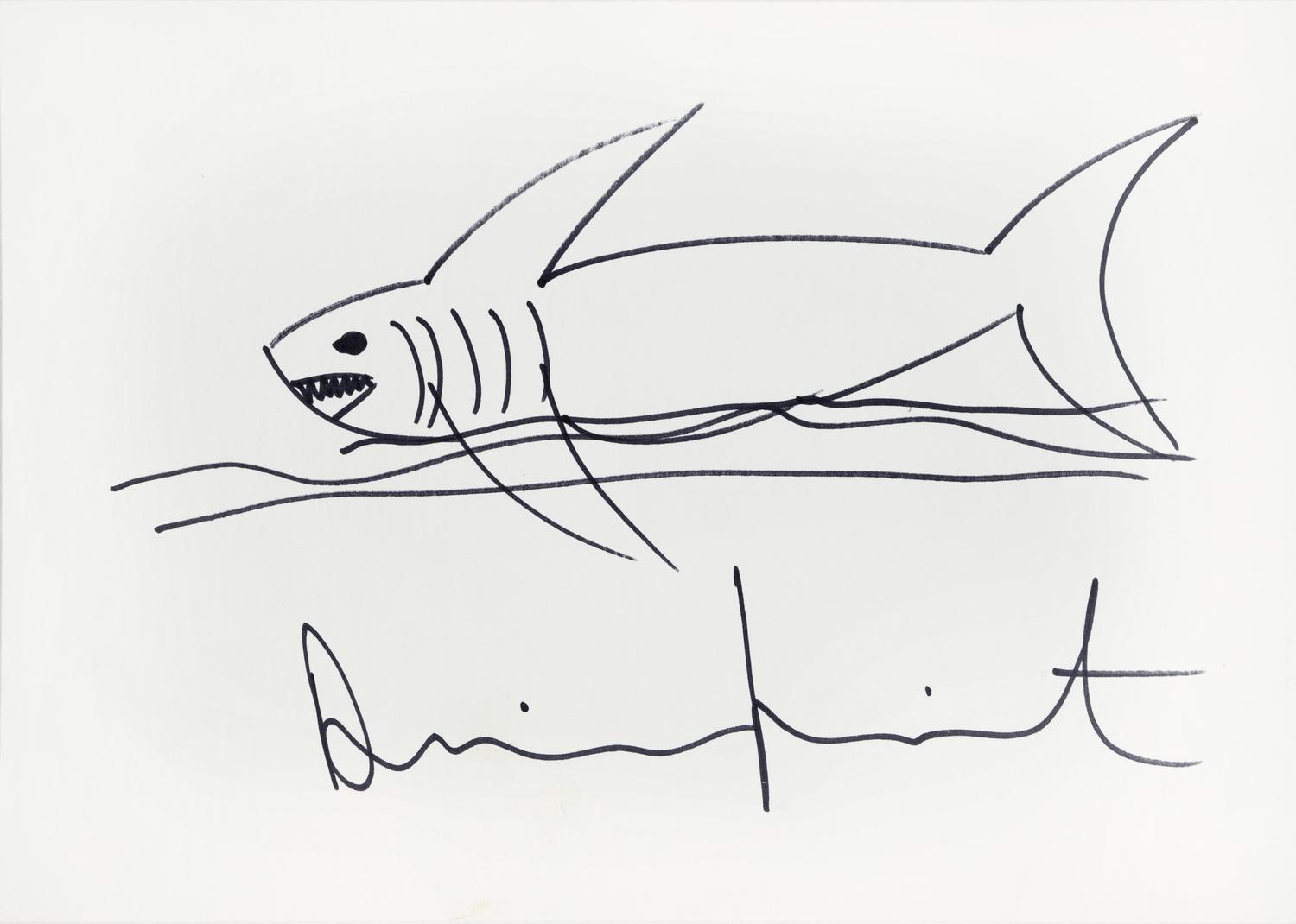 Shark, 2000