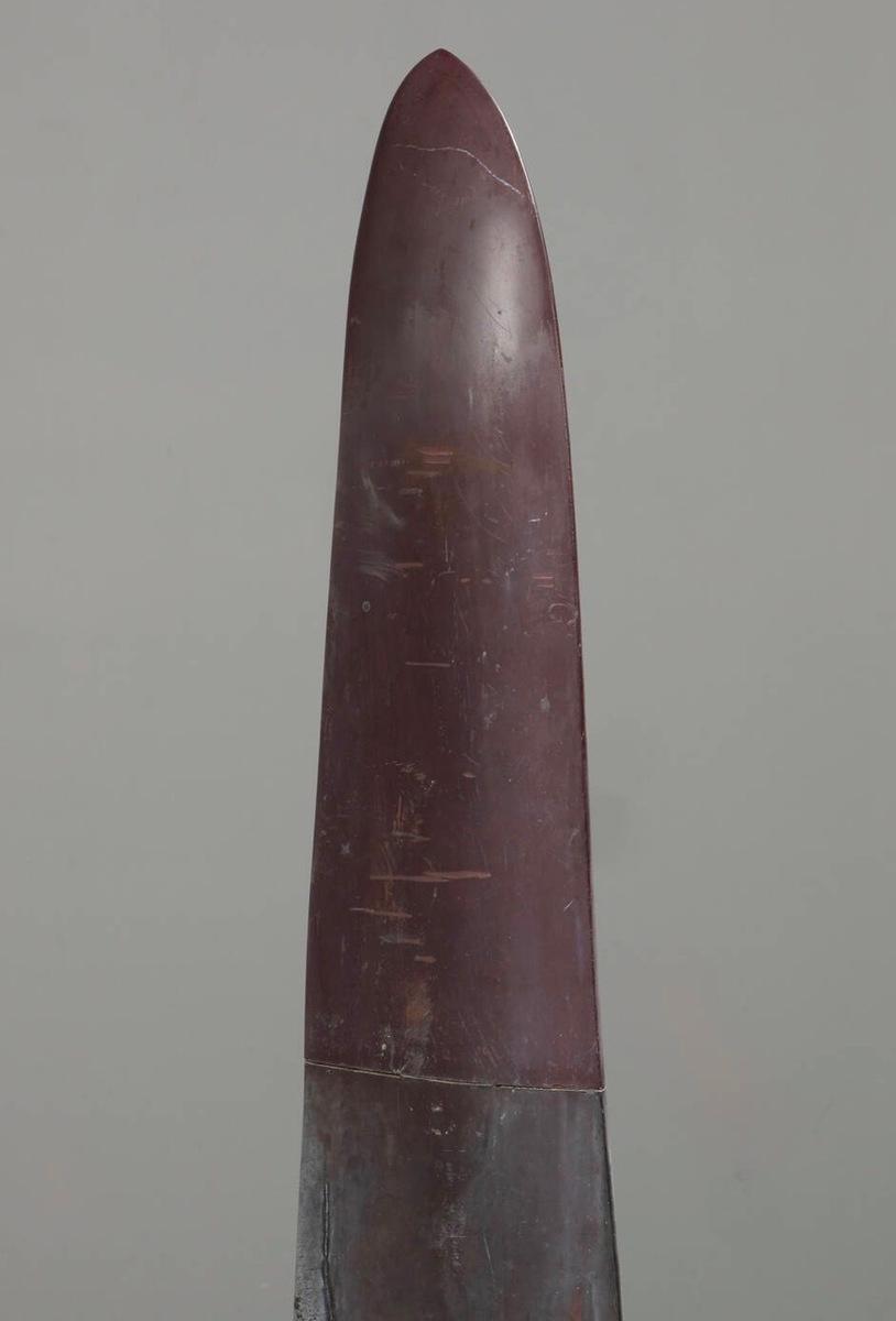 Gavia, image 2