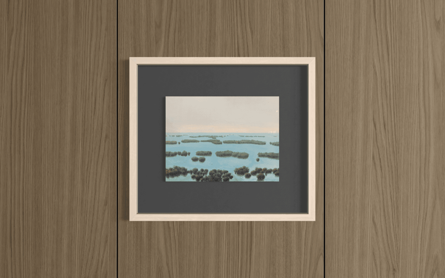 Cayos de mangle, 1984, image 2